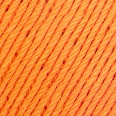 Incontournable 8/4 016 Cantaloup