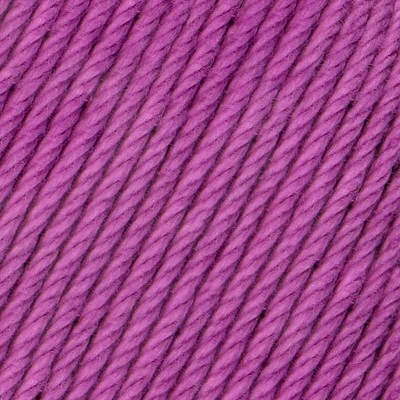 Incontournable 8/4 051 Prune
