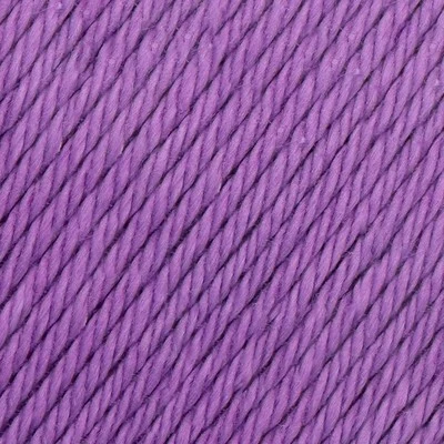 Incontournable 8/4 053 Violette