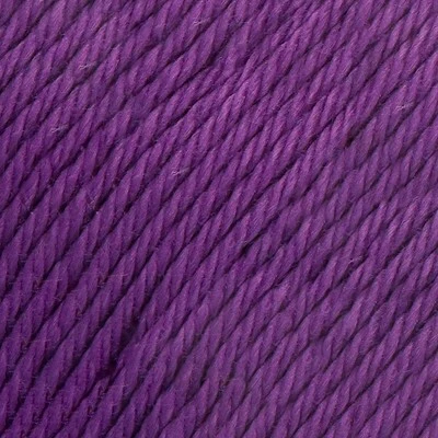 Incontournable 8/4 054 Raisin