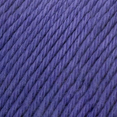 Incontournable 8/4 057 Clématite