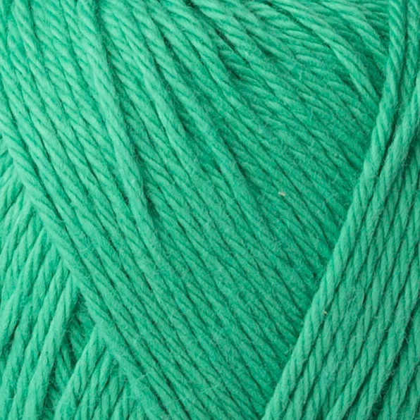 Yarn and Colors Favorite 086 Feuille de pivoine
