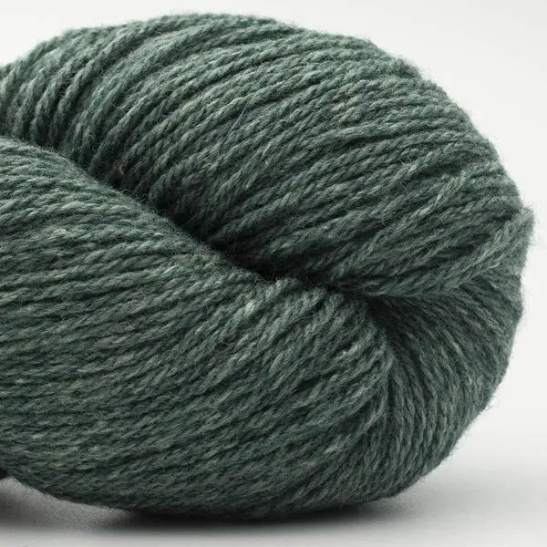BC Garn Bio Balance 05 Bleu vert