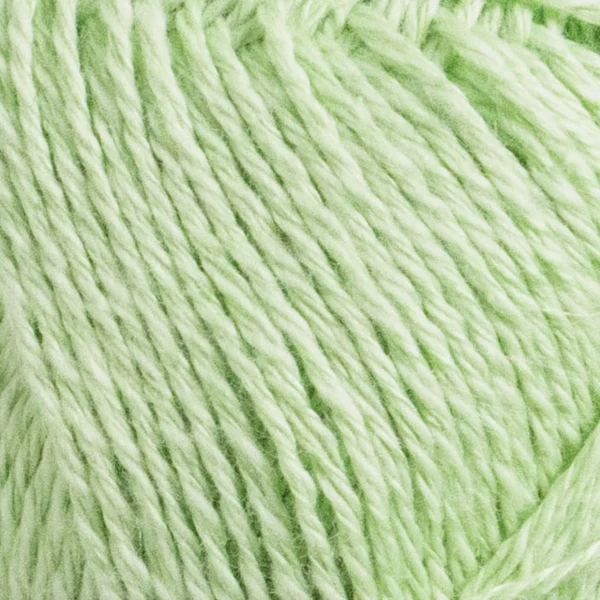 Järbo Colin 45 Green basilisk