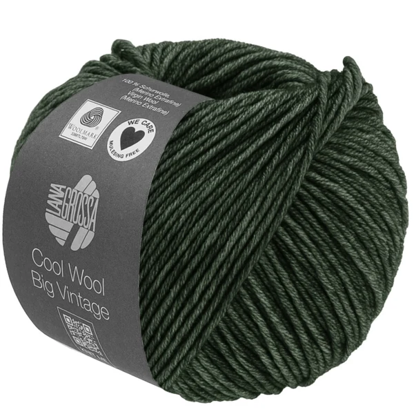Lana Grossa Cool Wool Big Vintage 97 Bosgroen