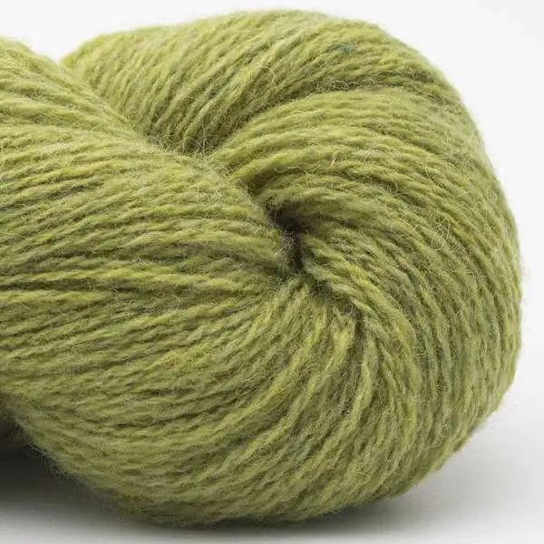 Bio Shetland 10 Vert herbe