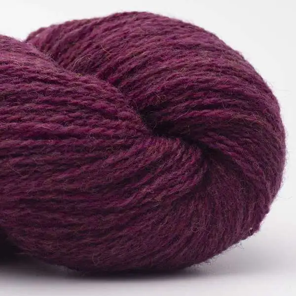 Bio Shetland 31 Prune