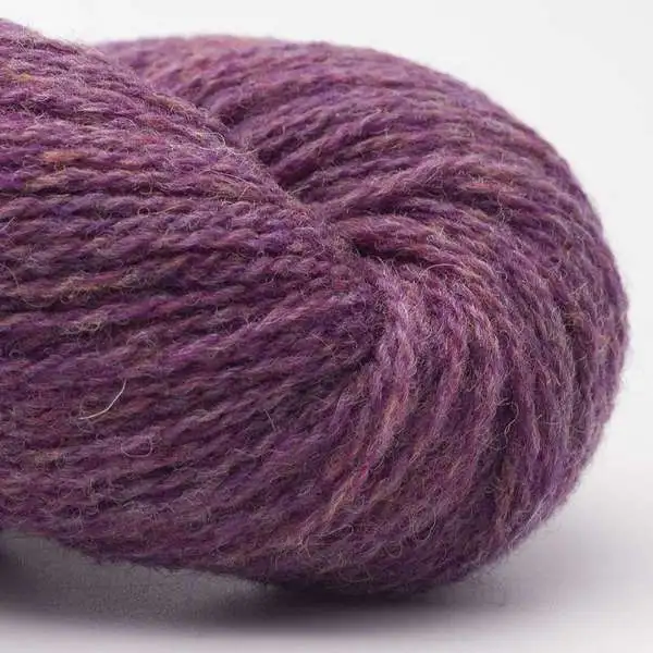 Bio Shetland 32 Bruyère