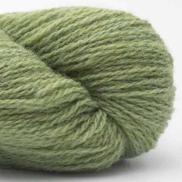Bio Shetland 11 Vert tilleul