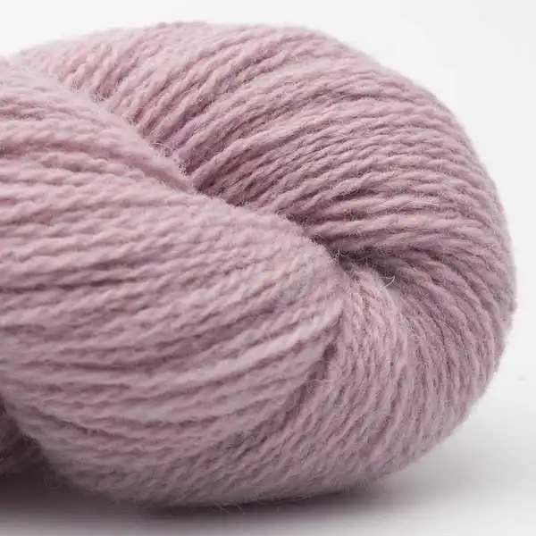 Bio Shetland 48 Rose ancien