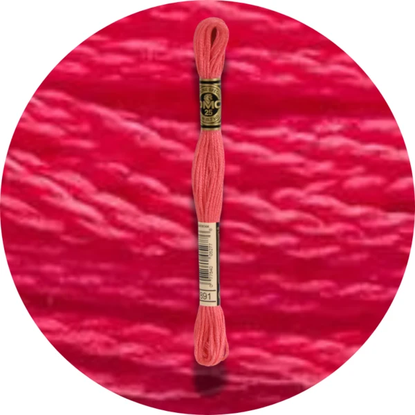 DMC Mouliné Spécial 25, Nuances de Rouge/Jaune/Orange 0891