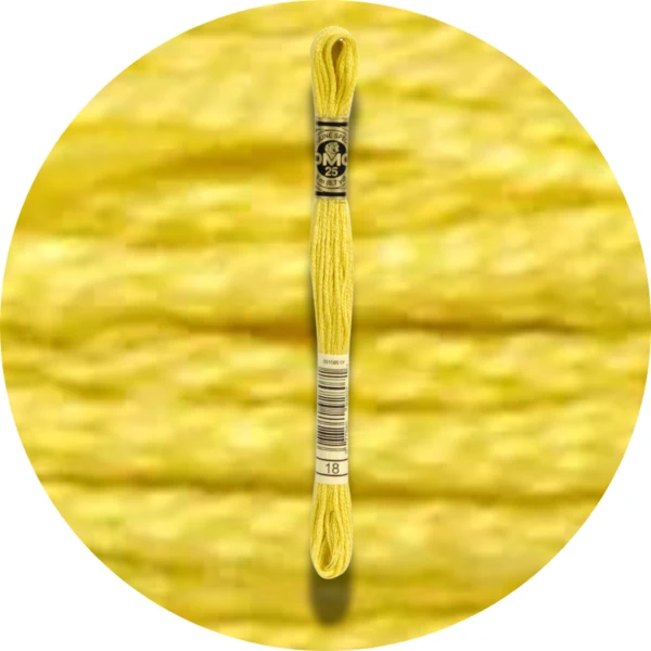 DMC Mouliné Spécial 25, Nuances de Rouge/Jaune/Orange 0018