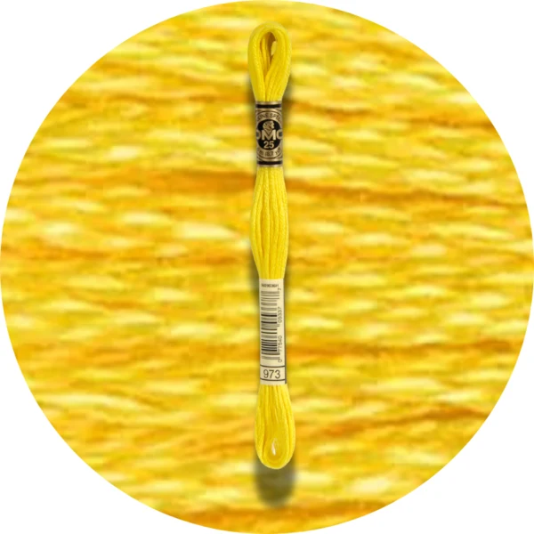 DMC Mouliné Spécial 25, Nuances de Rouge/Jaune/Orange 0973