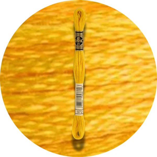 DMC Mouliné Spécial 25, Nuances de Rouge/Jaune/Orange 0972