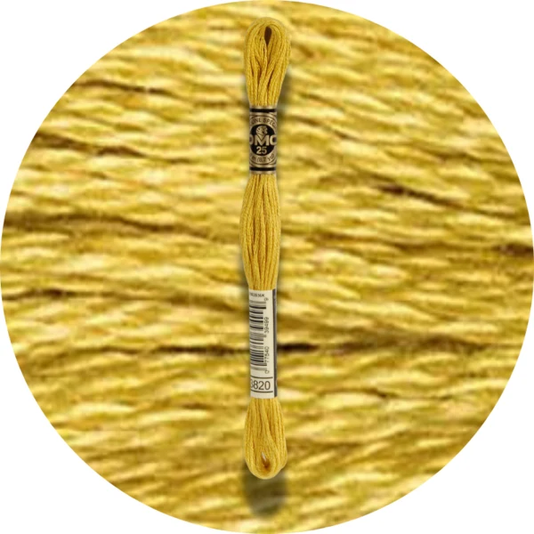 DMC Mouliné Spécial 25, Nuances de Rouge/Jaune/Orange 3820