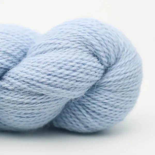 BC Garn Babyalpaca 10/2 RAS 76 Bleu Pâle RAS