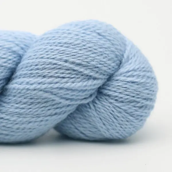 BC Garn Babyalpaca 10/2 RAS 55 Bleu Bébé RAS