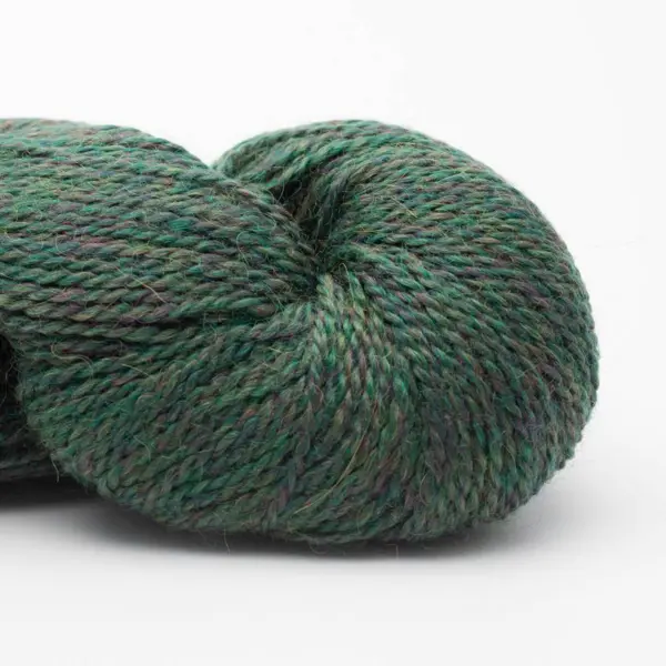 BC Garn Babyalpaca 10/2 RAS 117 Vert Forêt Chiné RAS