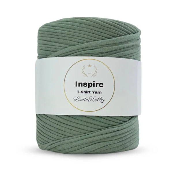 LindeHobby Inspire 55 Vert poussiéreux