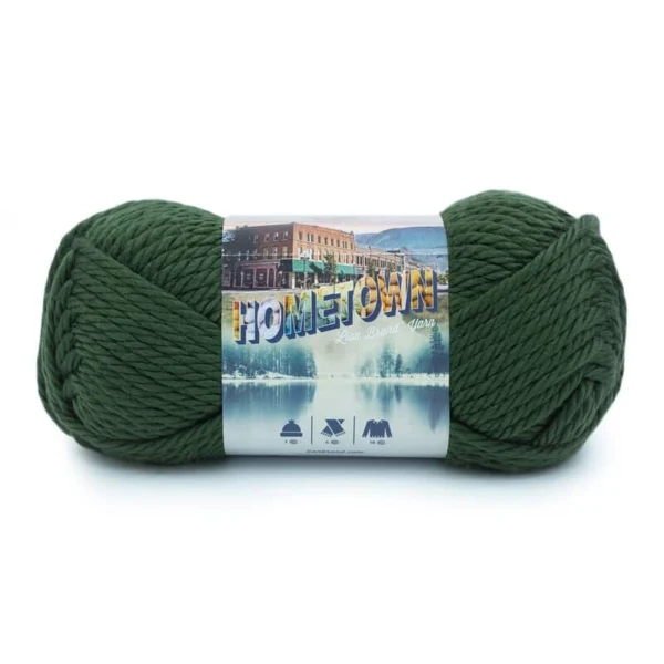 Lion Brand Hometown 135-180J Ashland Pine
