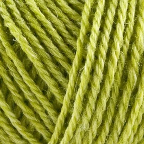 Onion No.3 Organic Wool+Nettles 1116 Chaux
