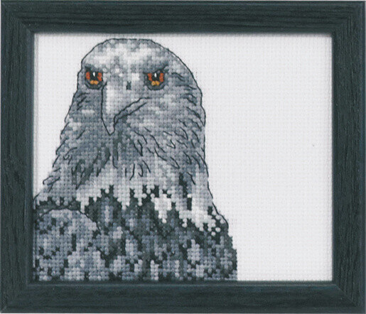 Kit de Broderie Aigle R5497 9 x 11 cm