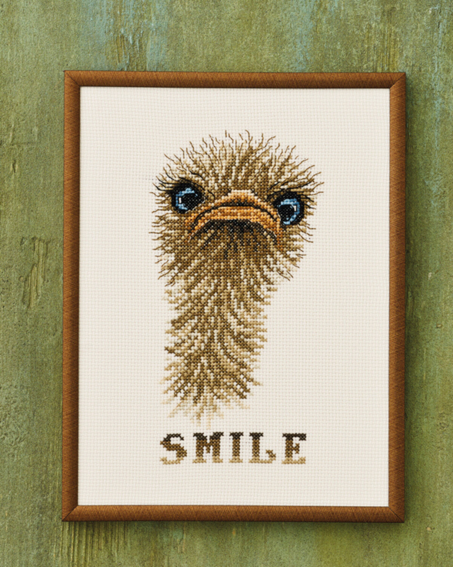 Kit de broderie "Smile" autruche 18x24 cm R5703