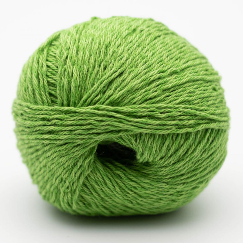 BC Garn Allino 19 Vert Pomme