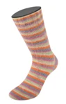 Lana Grossa Cosy Socks Multi Stripes 154 Gris foncé/bleu gris/fuchsia/vert clair/crème/orange