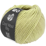 Lana Grossa Cool Wool Big 1029 Vert bouleau