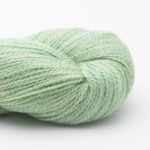 BC Garn Babyalpaca 10/2 RAS 118 Menthe RAS
