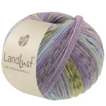 Lana Grossa Landlust Die Sockenwolle 618 Bleu violet/Jean/Bleu clair/Gris clair-/foncé/Jade/Pistache/Lilas rayé