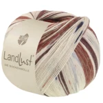 Lana Grossa Landlust Die Sockenwolle 726 Zwartbruin/Grijsbruin/Ecru/Lichtbeige/Nachtblauw/Donkerrood/Lichtgrijs
