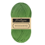 Scheepjes Woolwise 756 Vert agave