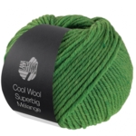 Lana Grossa Cool Wool Superbig 211 Vert chiné