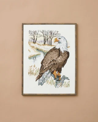 Kit de Broderie Aigle 30 x 40 cm