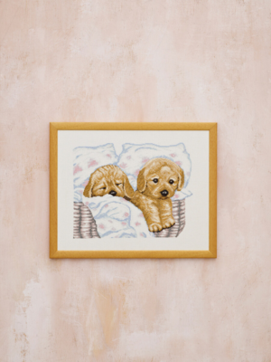 Borduurpakket Puppies in mand R5677 43 x 34 cm