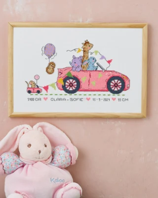Kit de Broderie Clara-Sofie R5799 30 x 20 cm