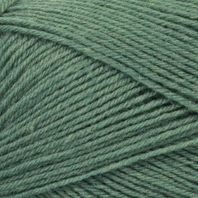 26 Vert lézard
