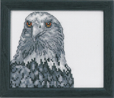 Kit de Broderie Aigle R5497 9 x 11 cm