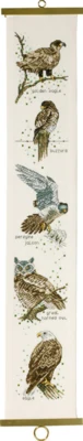 Borduurpakket Roofvogels B5159/16 16 x 90 cm
