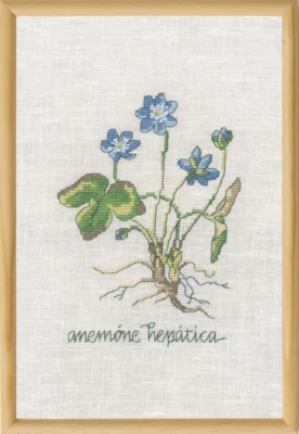 Kit de broderie Anémone bleue R5799 20 x 30 cm