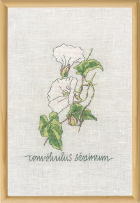 Kit de broderie Liseron R5799 20 x 30 cm