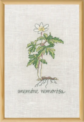 Kit de Broderie Anémone Blanche R5799 20 x 30 cm