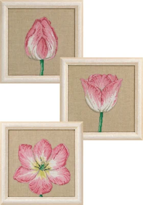 Kit de broderie Tulipes en phases 3 x 25 x 25 cm