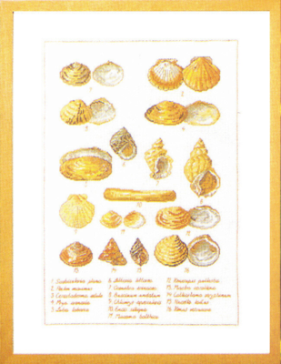 Kit de broderie Coquilles 41 x 56 cm 5676